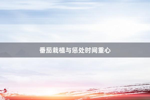 番茄栽植与惩处时间重心