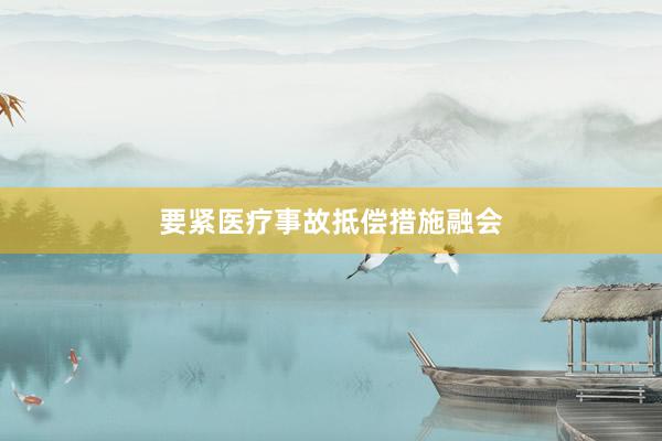要紧医疗事故抵偿措施融会