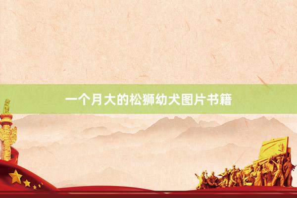一个月大的松狮幼犬图片书籍