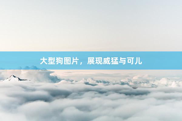 大型狗图片，展现威猛与可儿