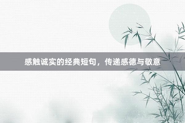 感触诚实的经典短句，传递感德与敬意